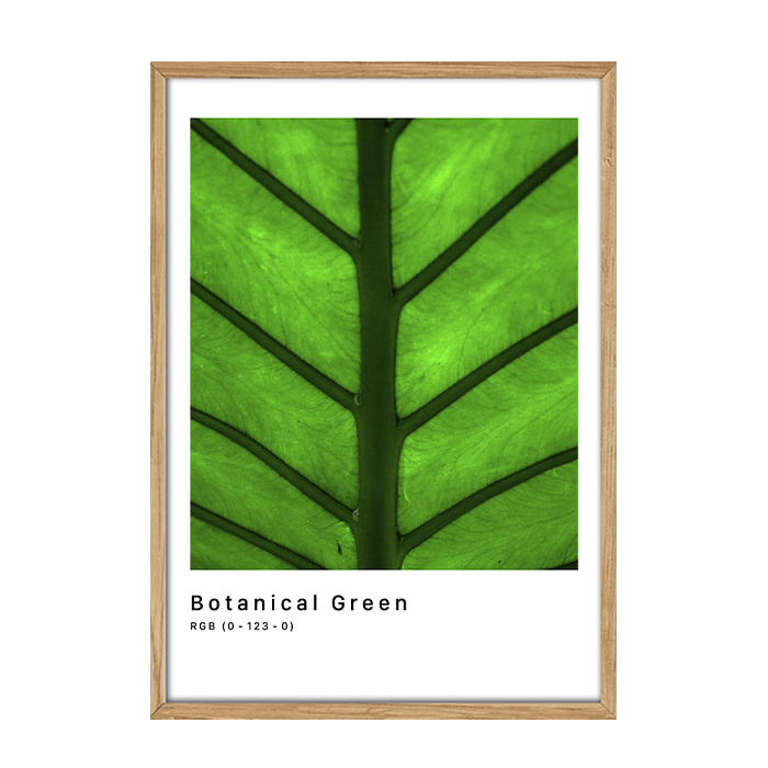 RGB Botanical Green Plakat