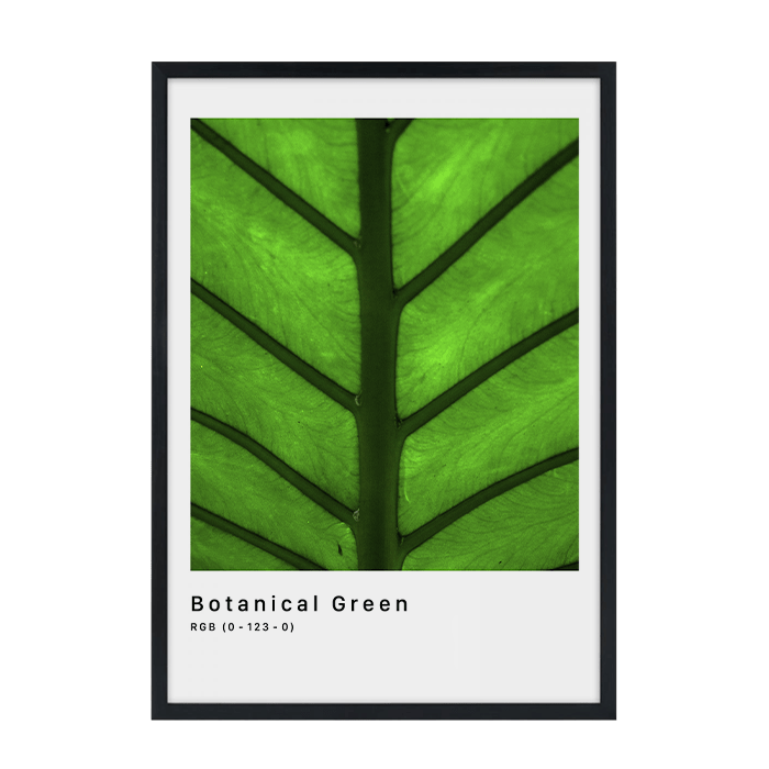RGB Botanical Green Plakat