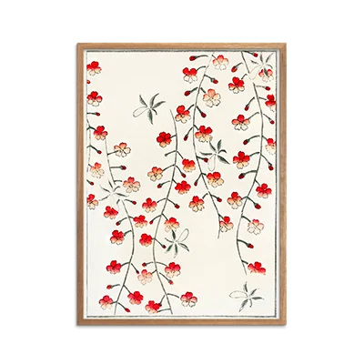 Cherry Blossom Illustration Plakat