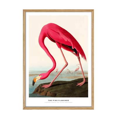 The Pink Flamingo Plakat