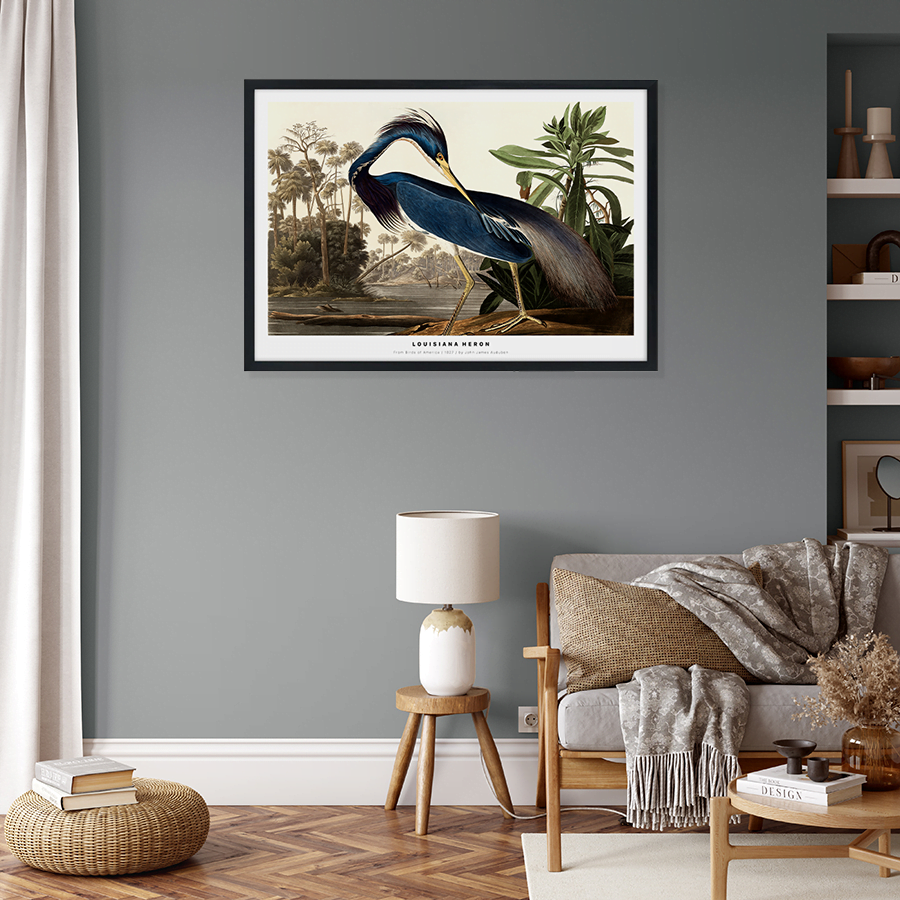 Louisiana Heron Plakat