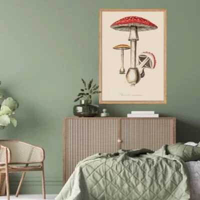 Vintage plakater med svampe