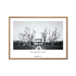 Black&White_Abandoned-Home-Mayaland_Landskab_400x