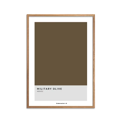 Color Codes Military Olive Plakat