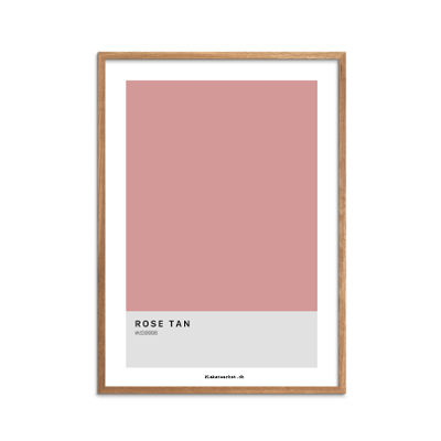 Color Codes Rose Tan Plakat