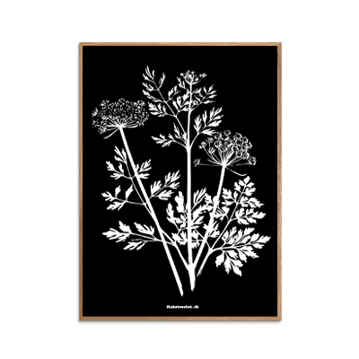 En sorthvid plakat med plante