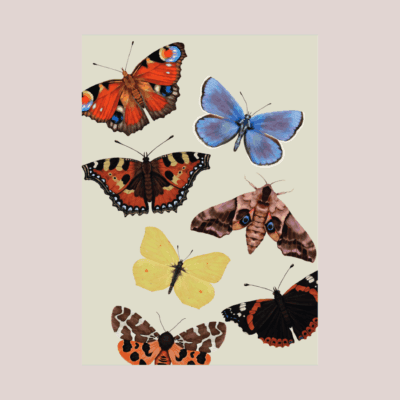Flyvsk Plakat - Image 1