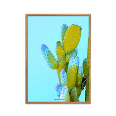 Love Blå Kaktus