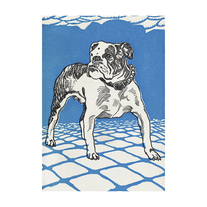 Bulldog Plakat