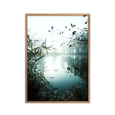 Natur Skovsø
