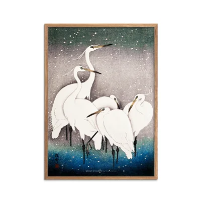 Group of Egrets