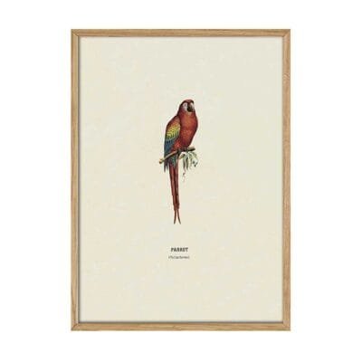 Parrot Plakat