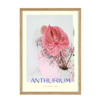 Anthurium I Plakat